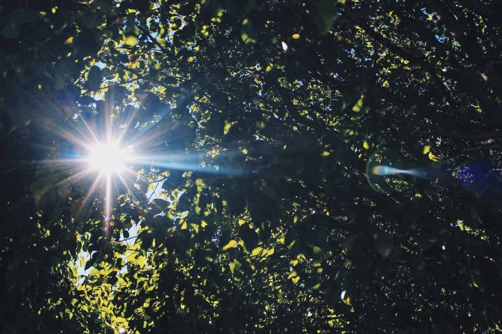 Querido futuro amor: no quiero perder más&nbsp;tiempo.