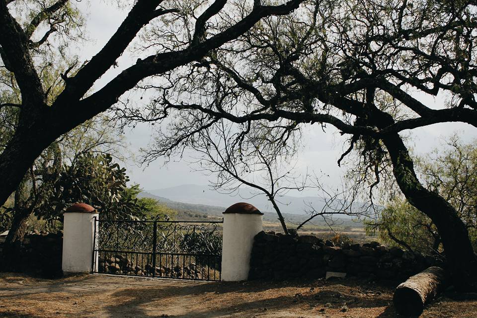 17308813_10208642844816447_2218606390541671852_n