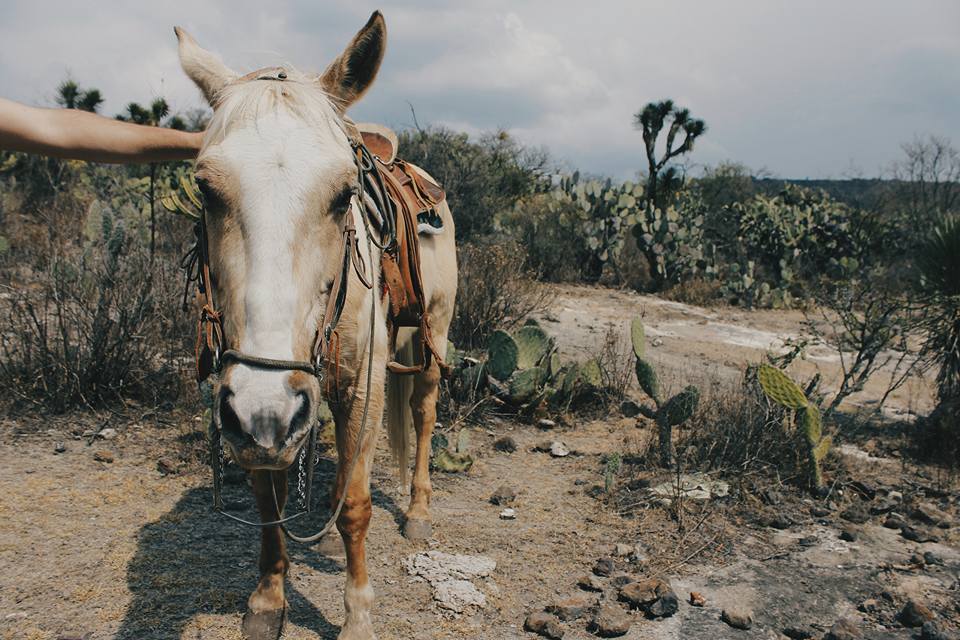 Yo era gris, pero llegaste tú y me convertí en&nbsp;arcoíris.