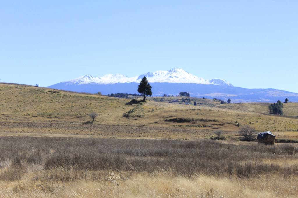 2017: el año de las personas extrañas, pero&nbsp;importantes.