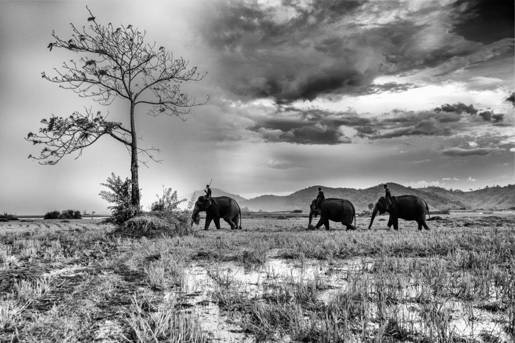 Las verdades dolorosas de la vida para las que nadie te&nbsp;prepara.