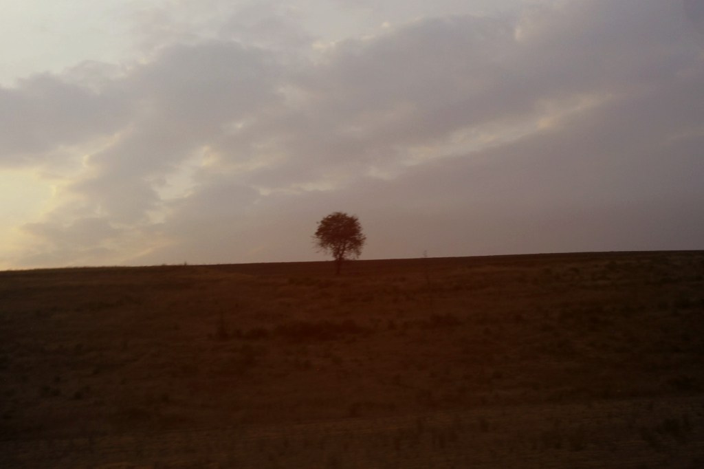 Tú piensas que no, pero&nbsp;sí